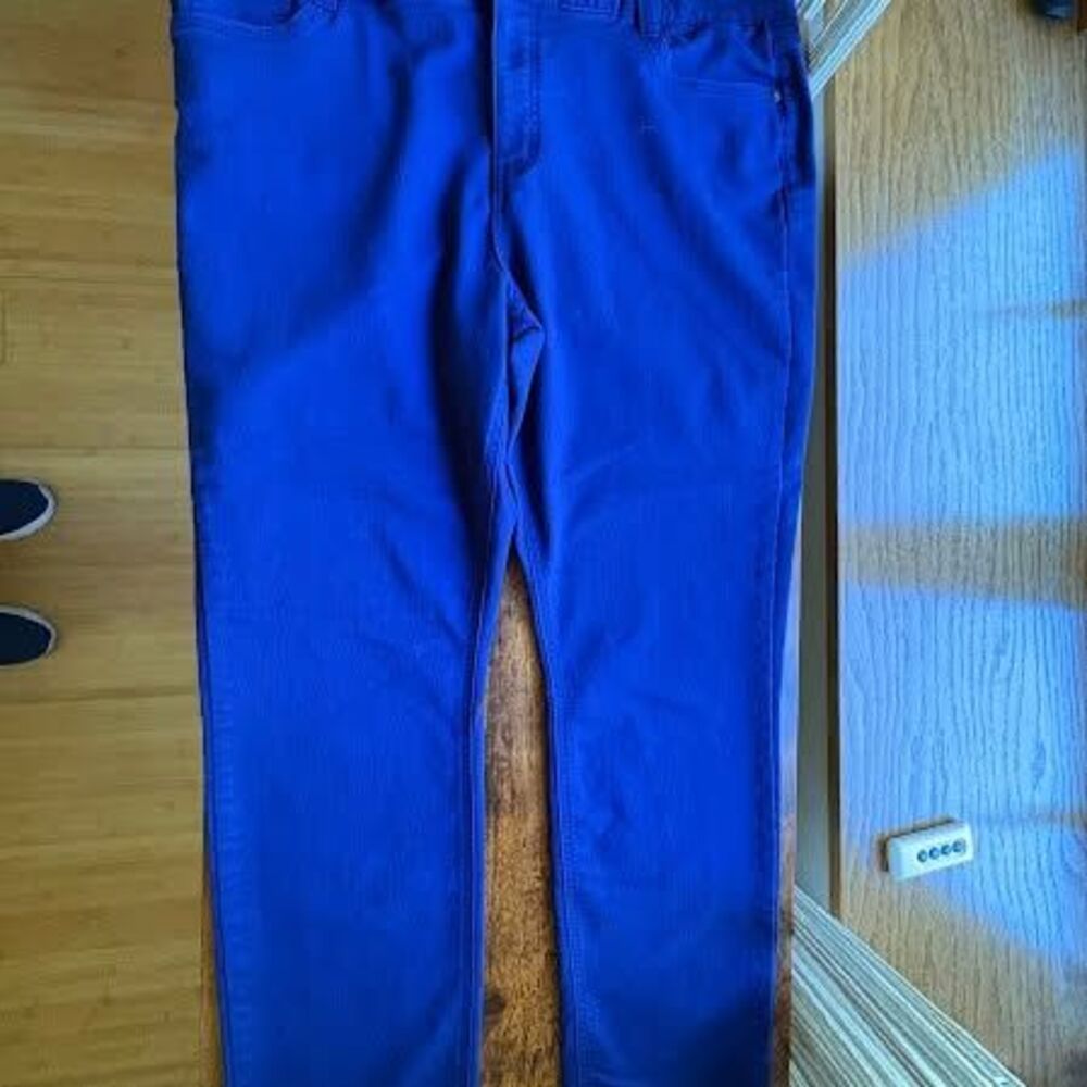 Liz Claiborne Blue Pants